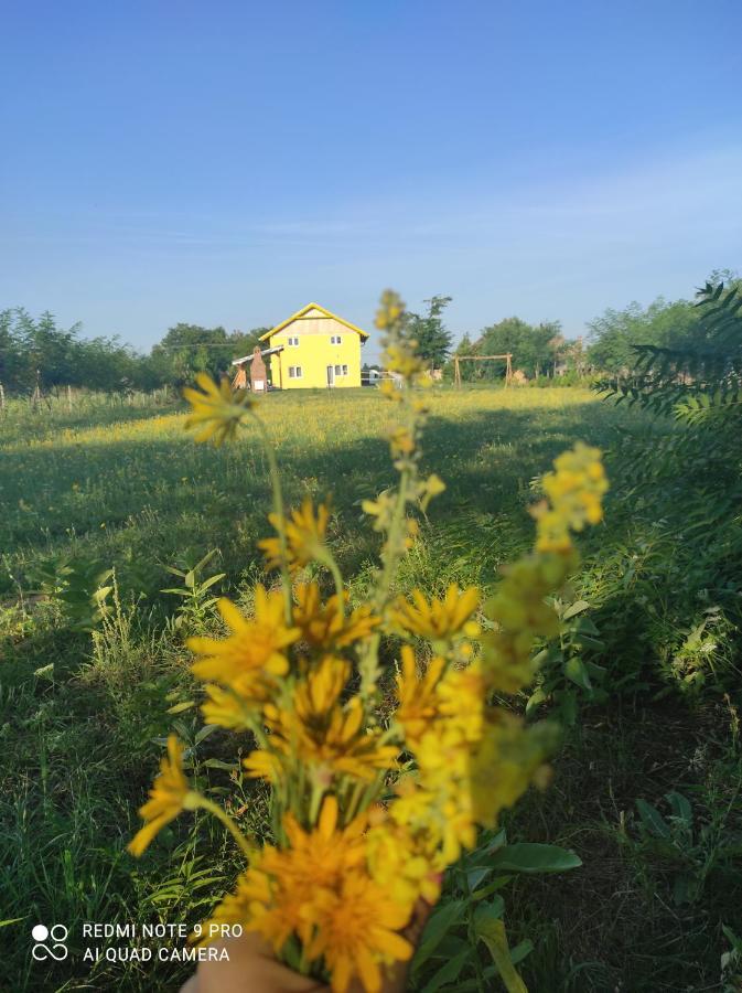 Mirella33 Appartement Palić Buitenkant foto