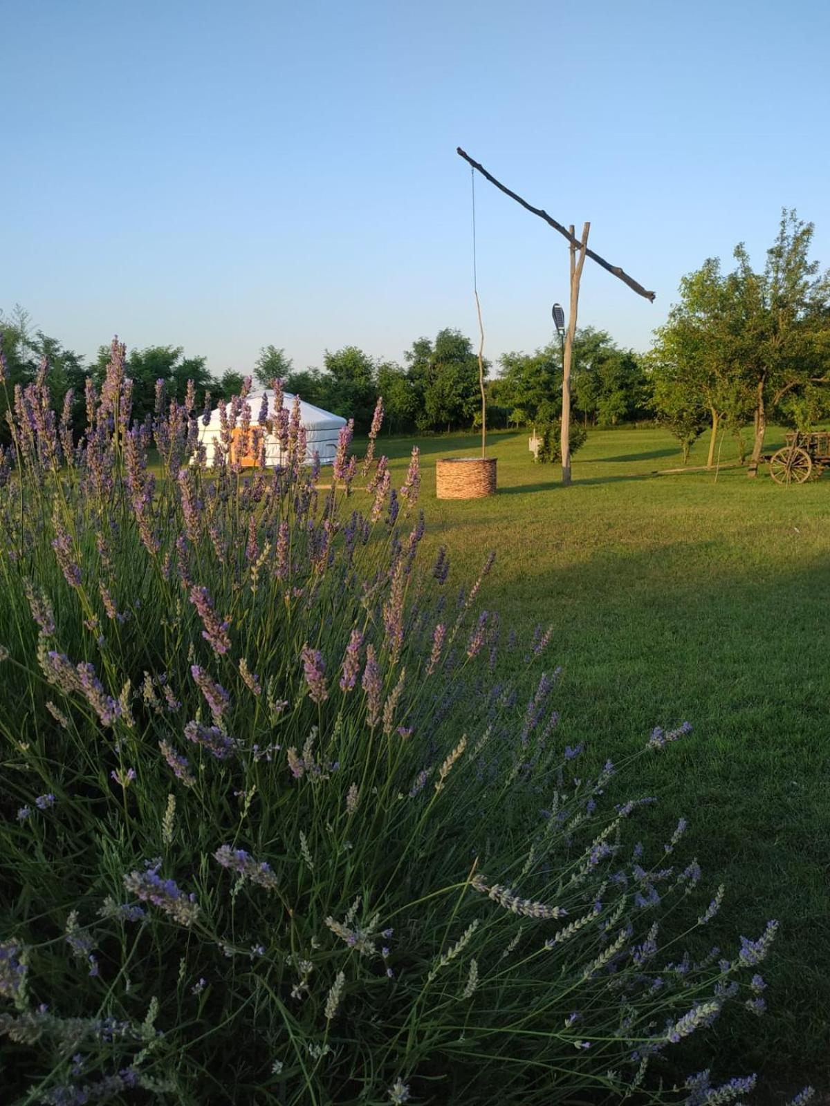 Mirella33 Appartement Palić Buitenkant foto